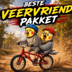 Beste Veervriende Pakket - R149 per maand