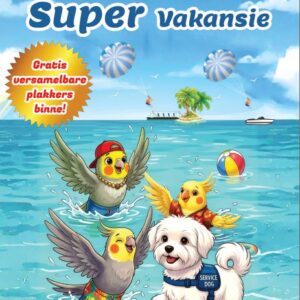 The Tiel Boys Bied Aan: Kleintjie en Kareltjie se Super Vakansie E-Boek